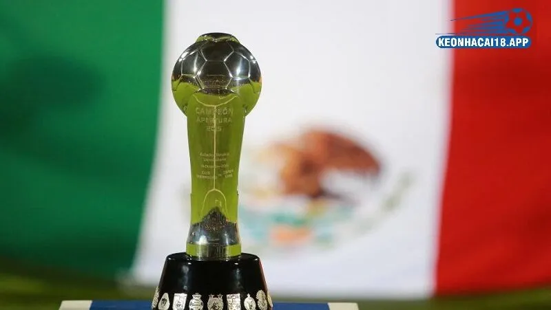 Phân tích chuyên sâu các loại kèo bóng đá VĐQG Mexico 
